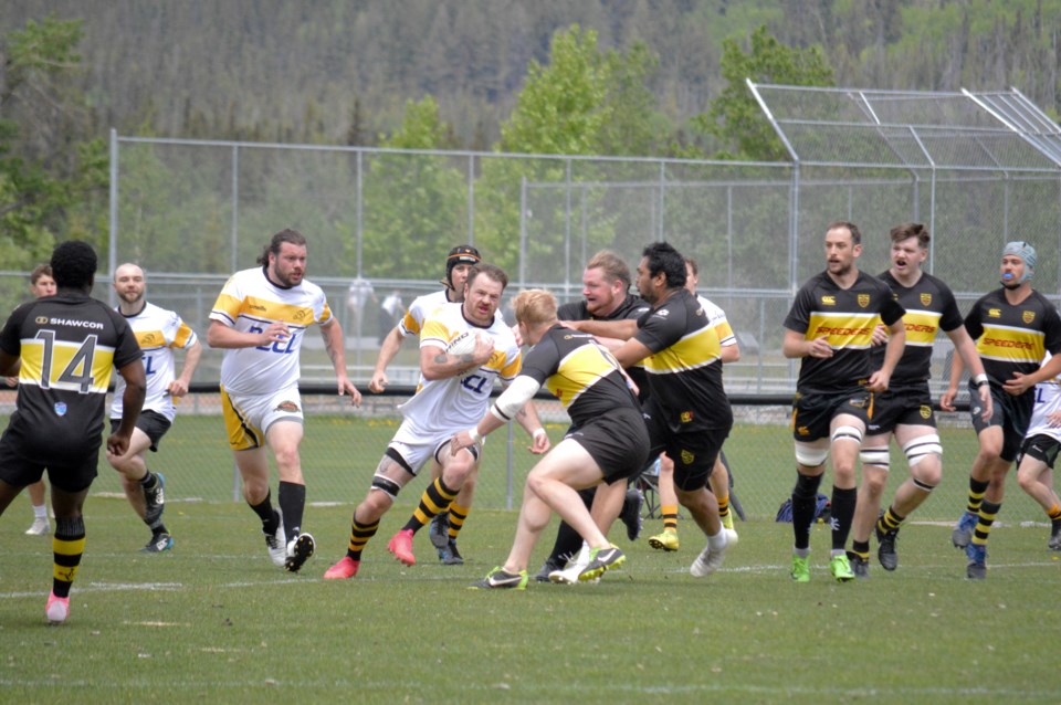 rugbybears1