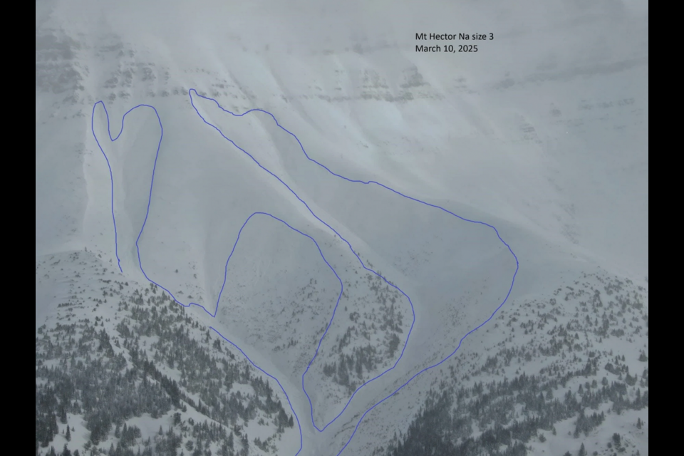 A drone photo of a size 3 three avalanche on Mount Hector on March 10. PARKS CANADA PHOTO