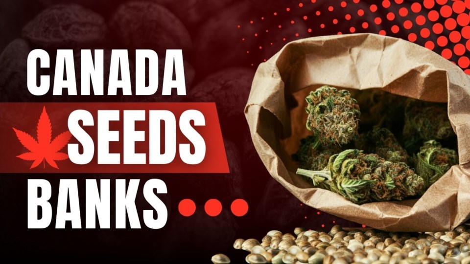 canada-seeds-banks_fi