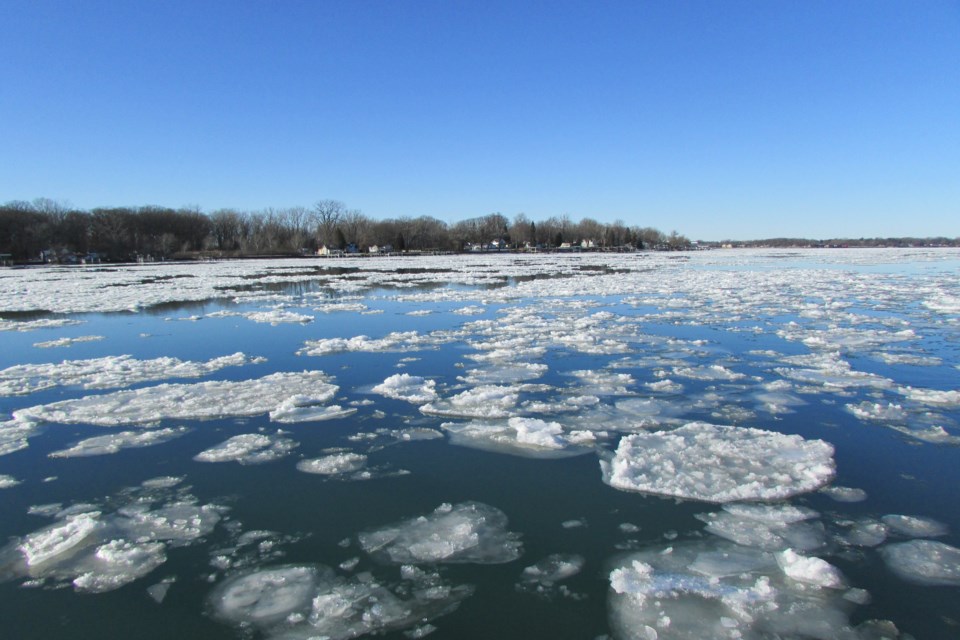 The ice floes are here in abundance, St. Clair River/Ferry Dock Hill