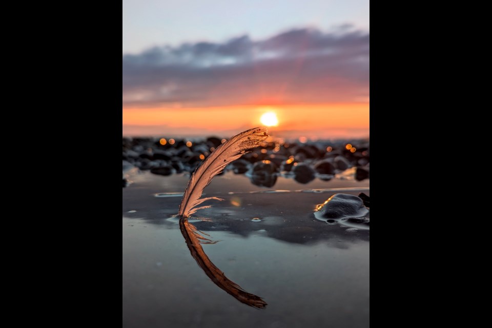 Sarnia beach with feather