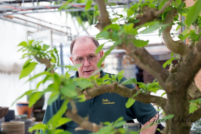 About 500,000 plants are currently under cultivation at Praill's Greenhouse Glenn Ogilvie