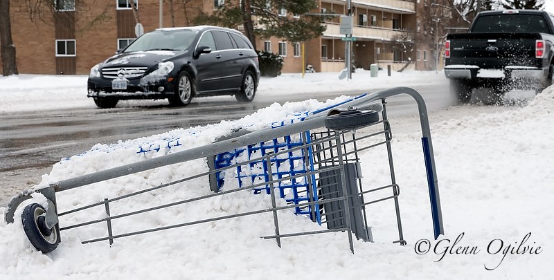 A shopping cart left on Exmouth Street. Glenn Ogilvie