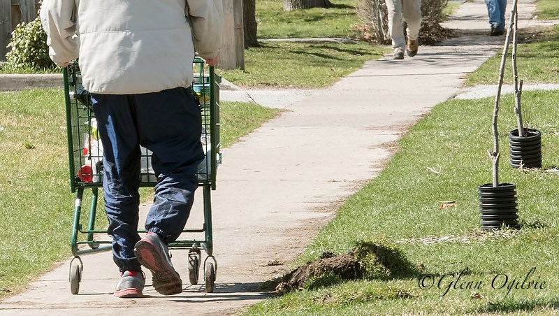 A shopping cart pushed along Wellington Street