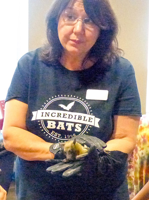 Sharon Peterson with an African fruit bat.Vanessa Hrvatin