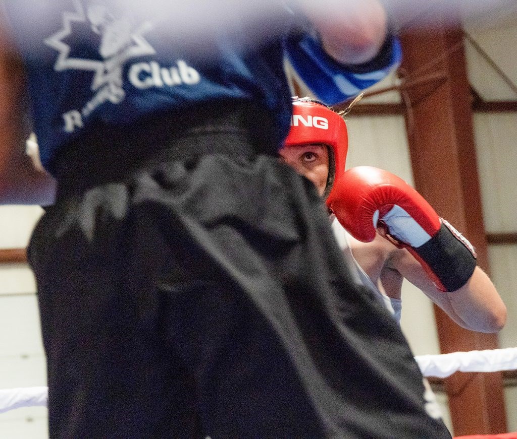 Bluewater Boxing Club Boasts Impressive Showing At Provincial Championships The Sarnia Journal