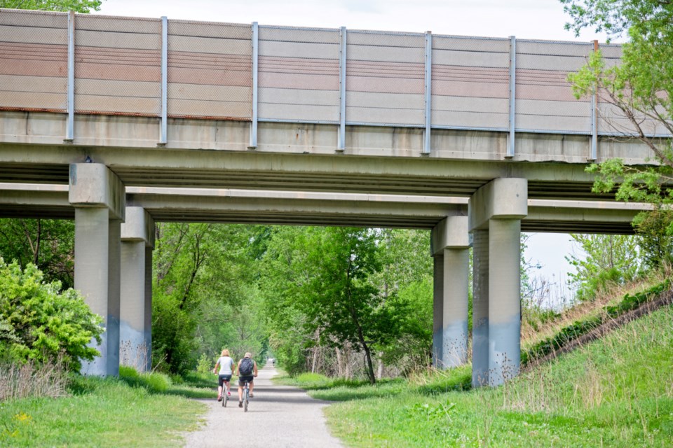 nature trail