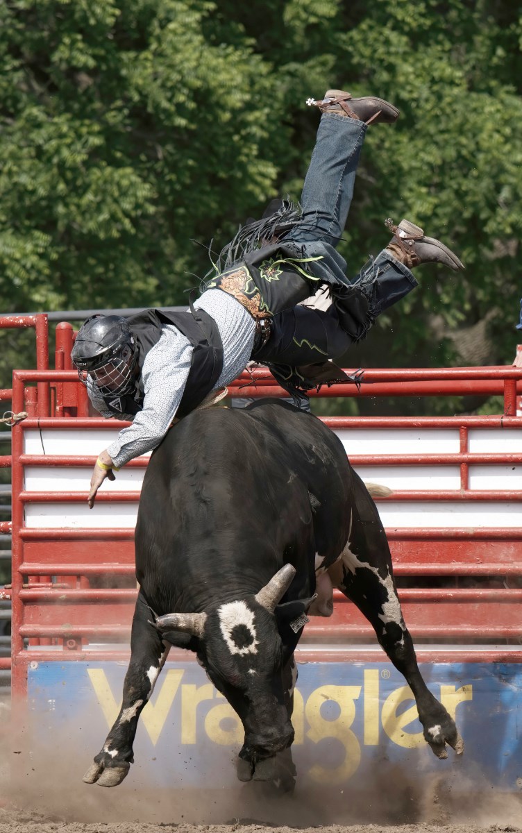 bull rider