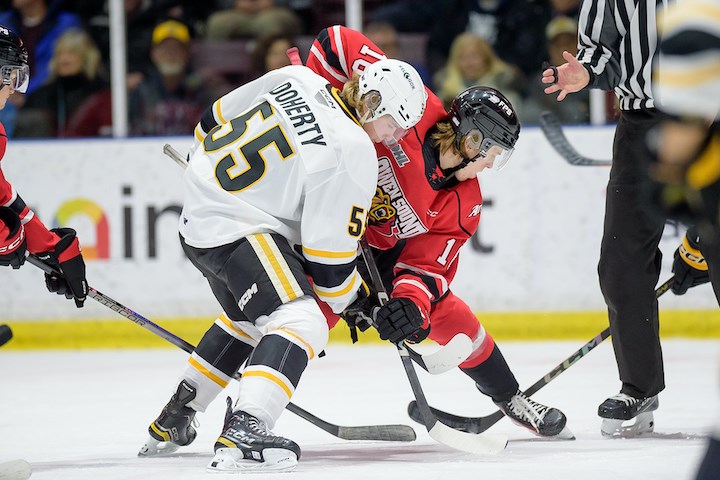 Hookey and the Attack hand Sting a fourth straight loss - The Sarnia ...