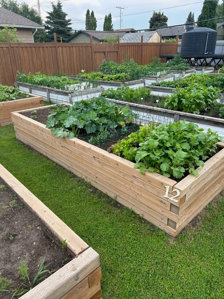 2024-community-garden