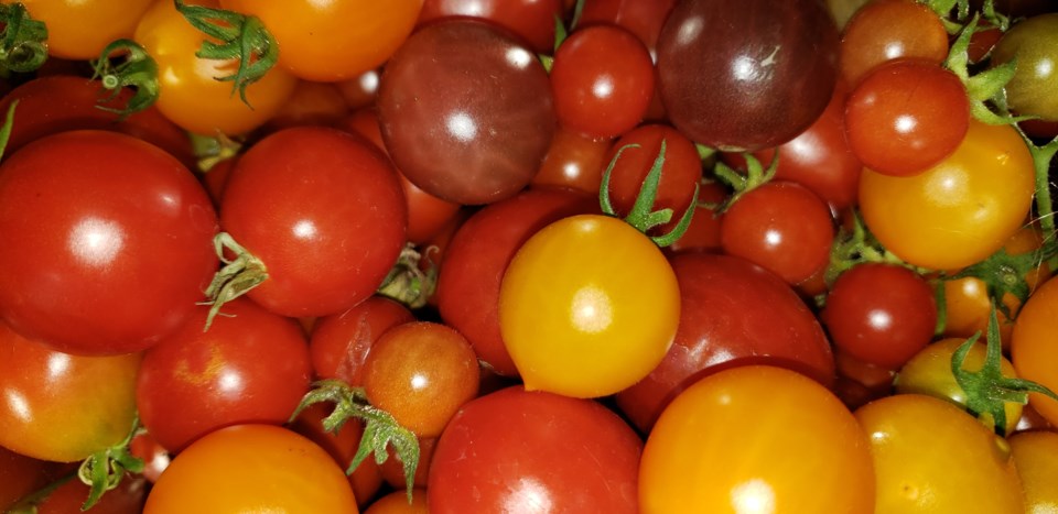 cherry tomatoes