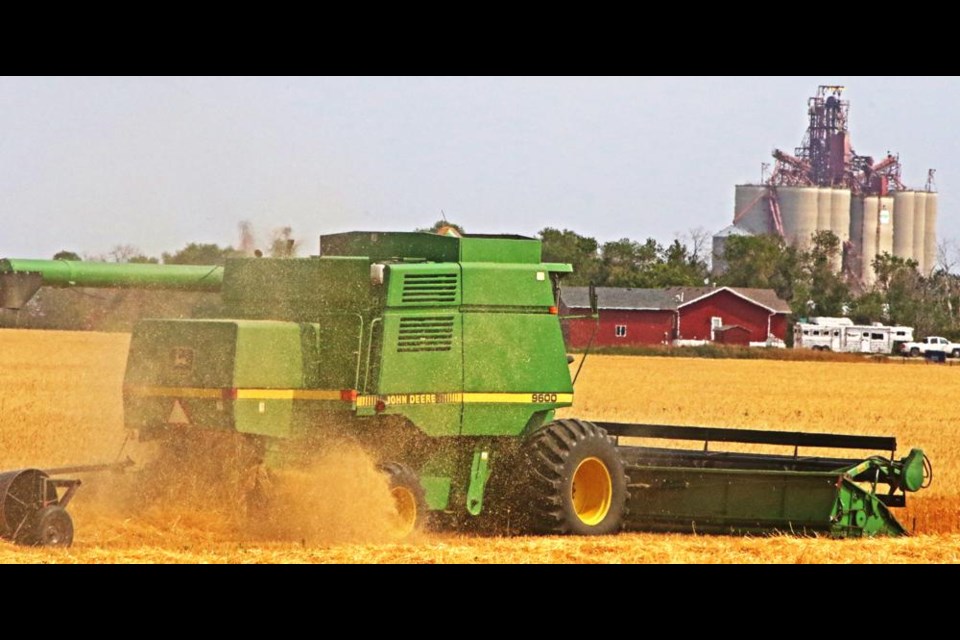 This field was being harvested on Friday afternoon just northwest of Weyburn.