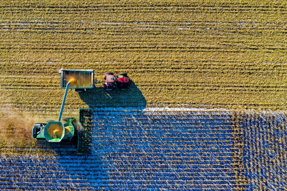 aerial-harvest-0824