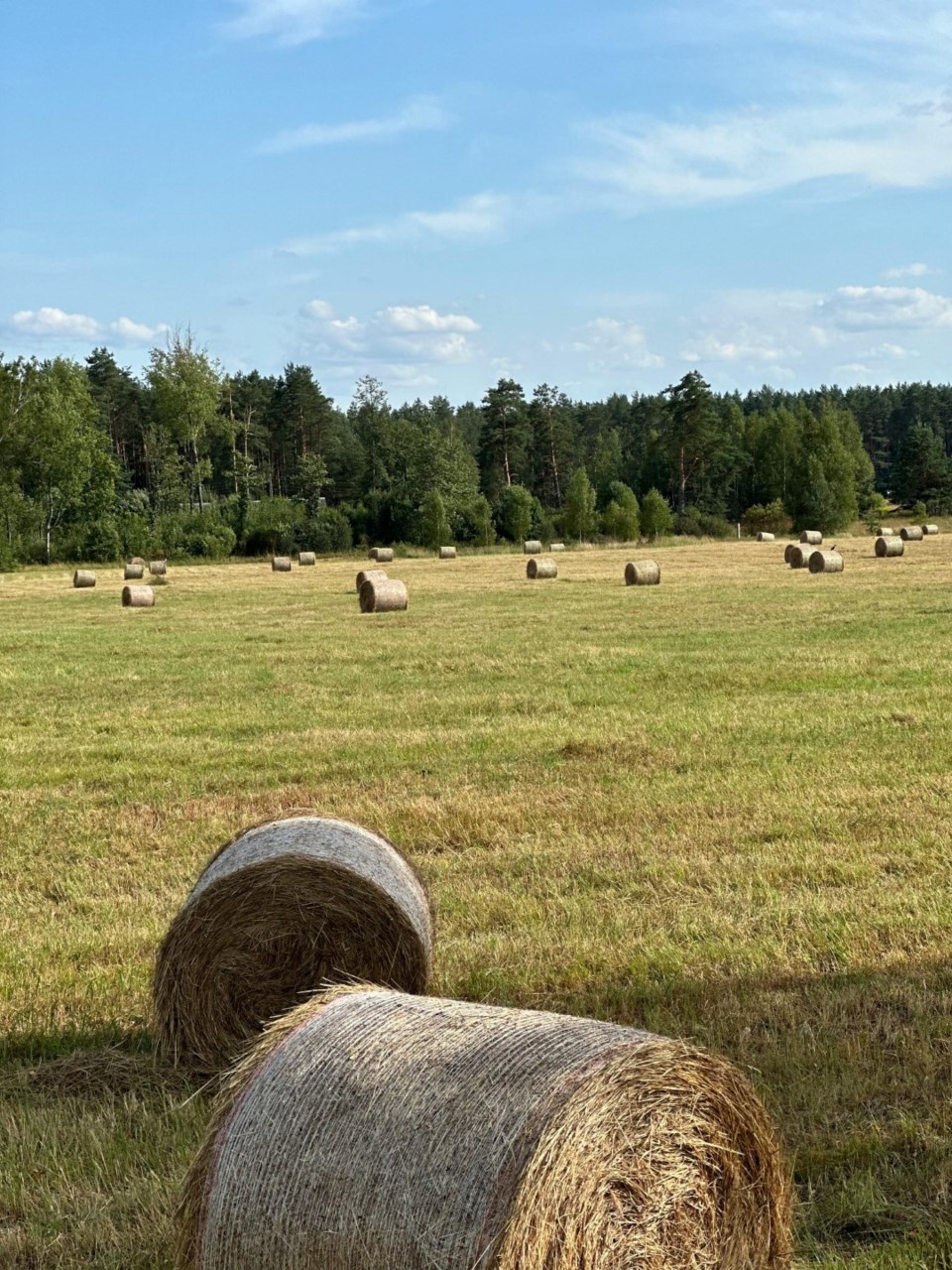 hauling-bales