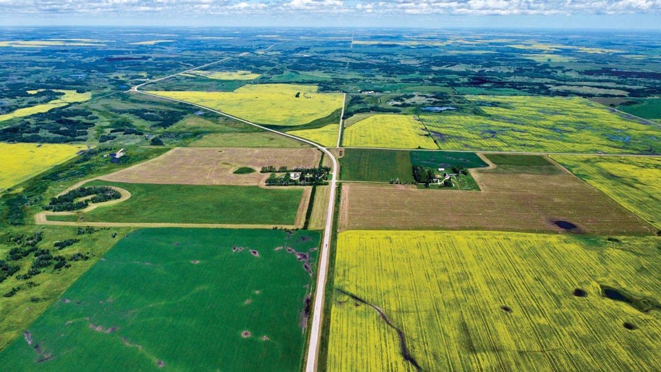 southeast-sask-crops