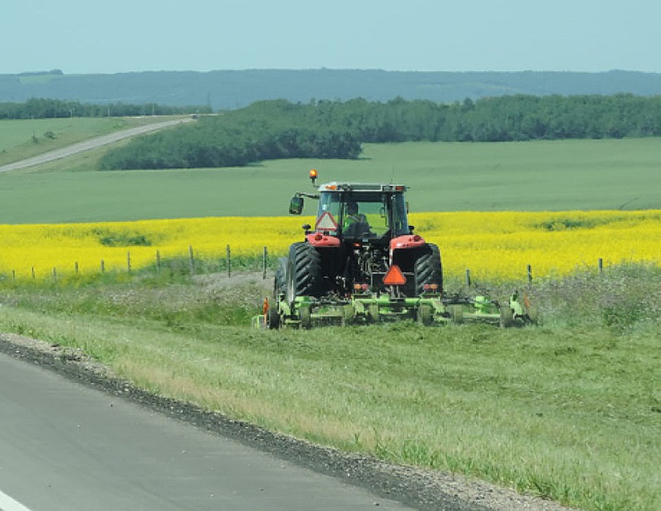 ditchmowing