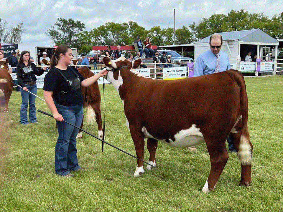 emma-lees-arcola-4-h