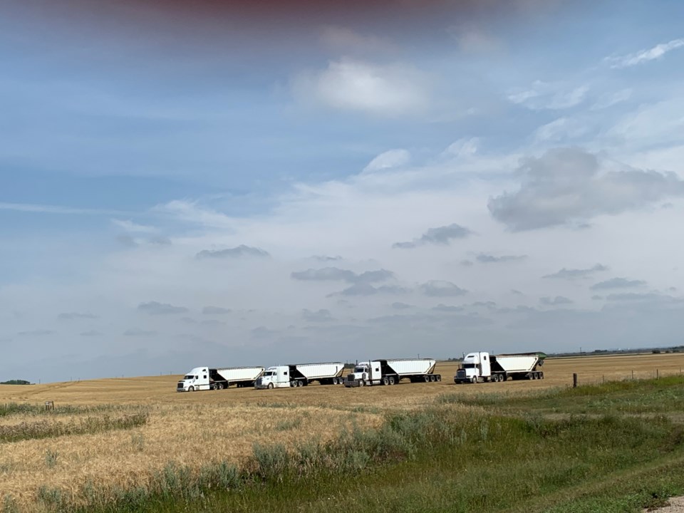 Grain Trucks lined up ready to go - Derek and Shannon Cey