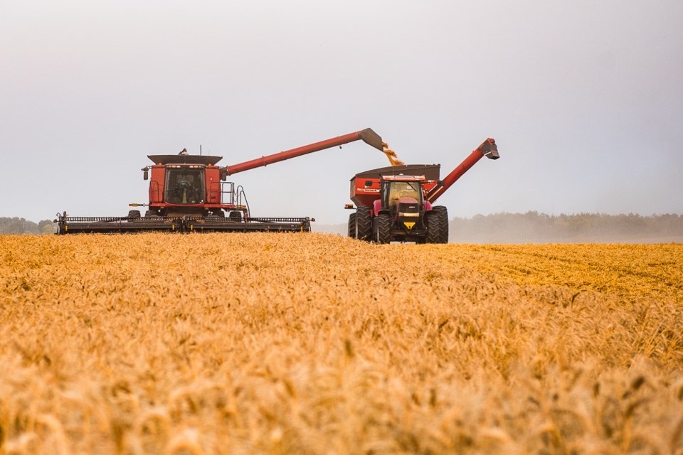 The first harvest went very well for the Carlyle Community Complex Foundation. 