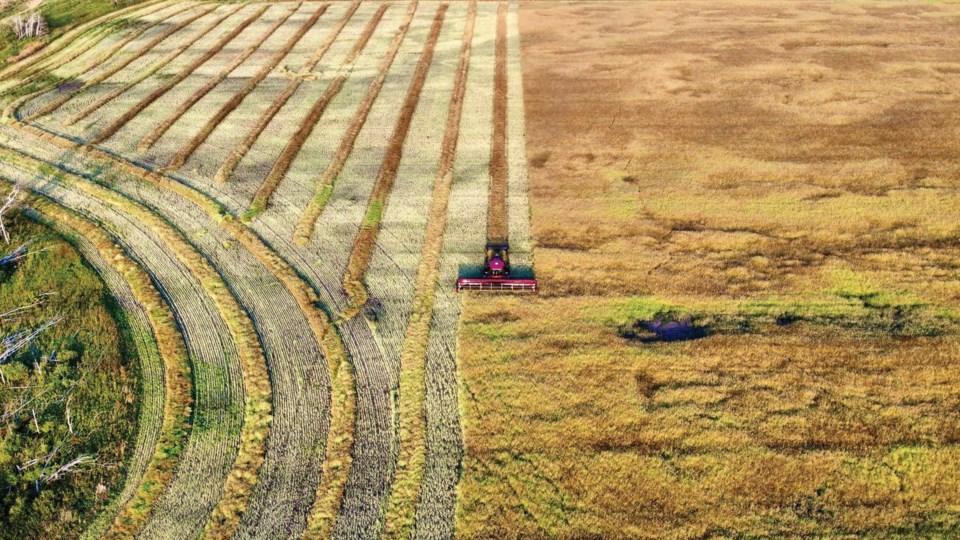 moosominswathing0823