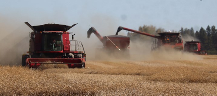 The crew at Ostafie’s Seed Farm was hard at it with three combines in this canola crop east of Canora on Sept. 25. Brendan Ostafie said they had about two or three days of harvesting left in canola and flax. He said overall yields have been around average this year, not quite as good as in 2023.