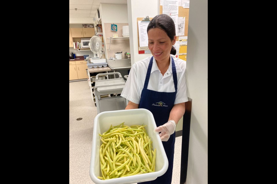 July 13 harvest of yellow beans at Unity's Parkview Place that will be used for the evening meal.