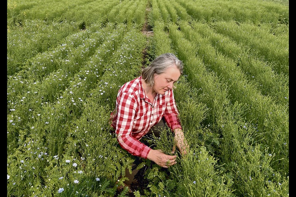 Lana Shaw, research manager at the 鶹Ƶ East Research Farm, must juggle a multitude of contrasting agronomic requirements as she oversees hundreds of trials commissioned by dozens of clients. 