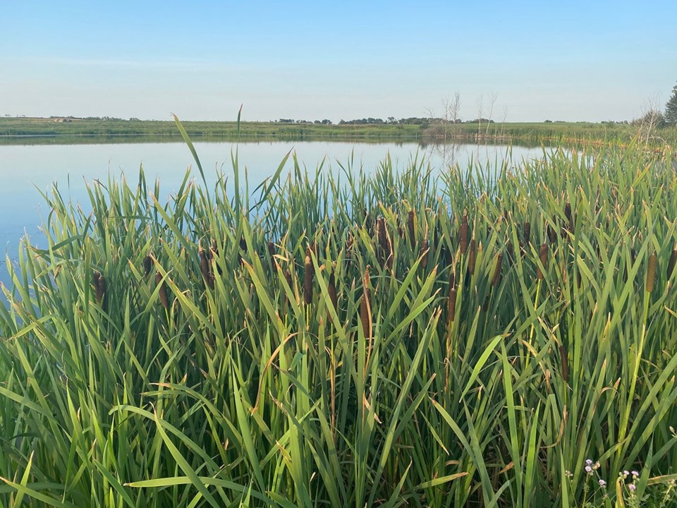 Sask.’s new drainage policy gets mixed reviews