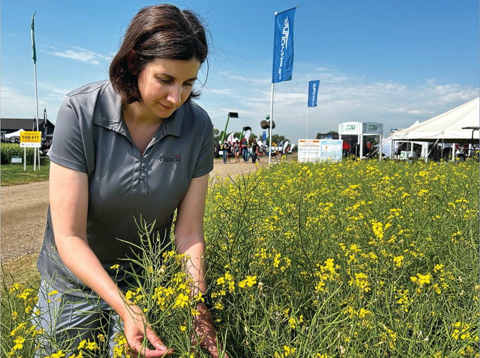 Tiny allies may help withstand drought