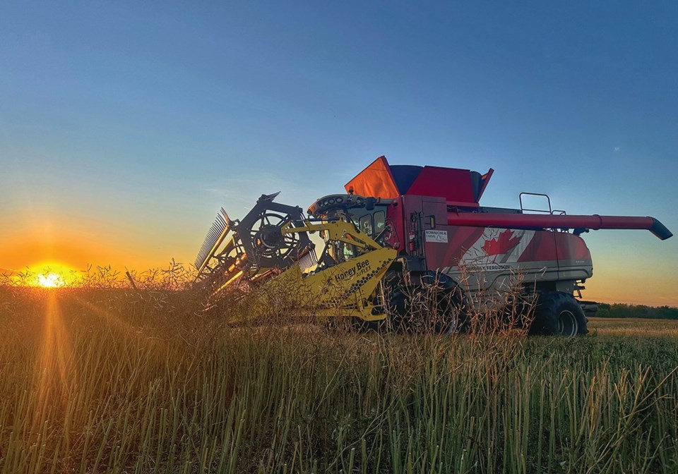 Canola and climate change in Western Canada