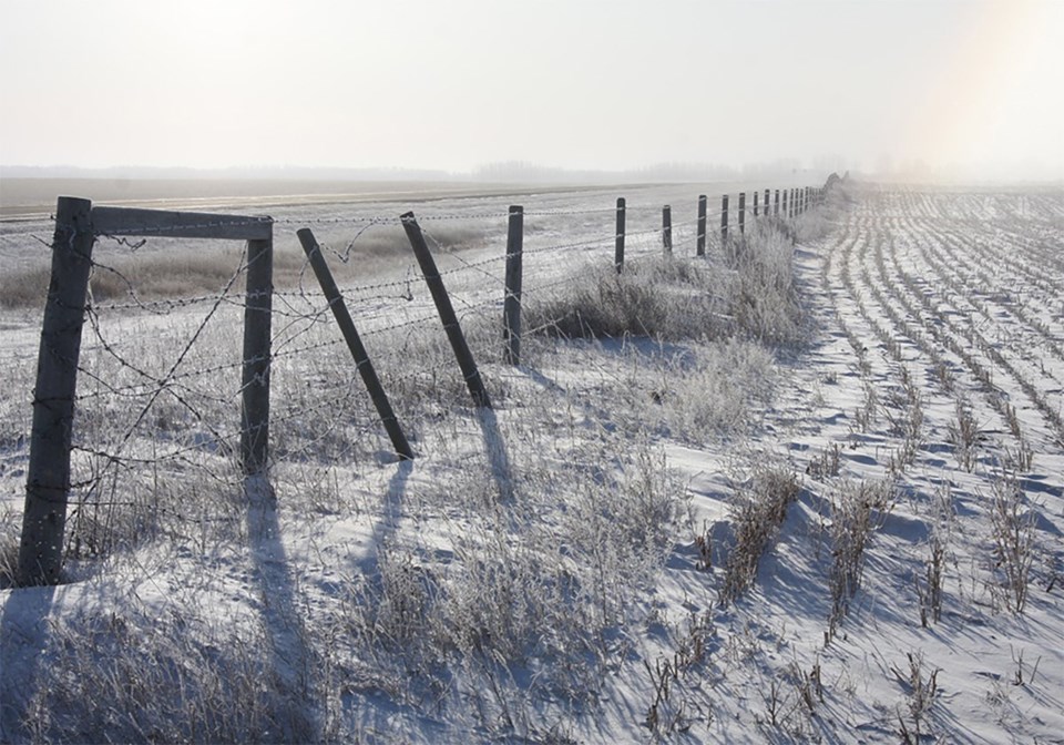 January was unexpectedly warm on the Prairies