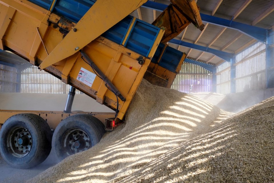 grain unloading indoors