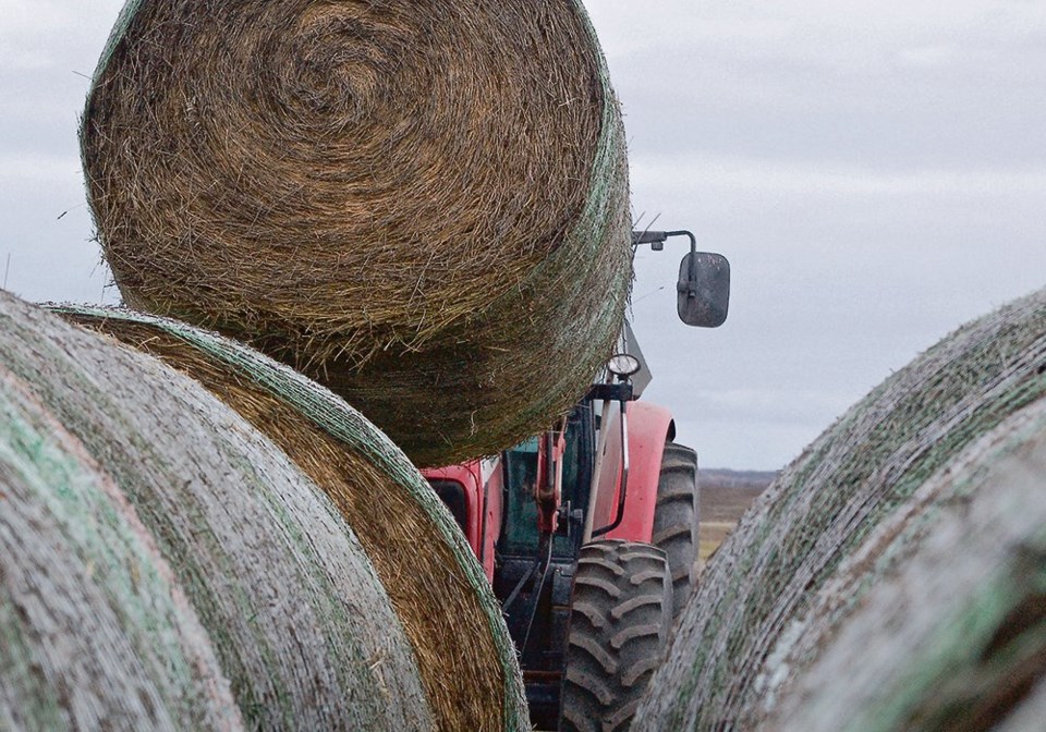 wp hay bales loader