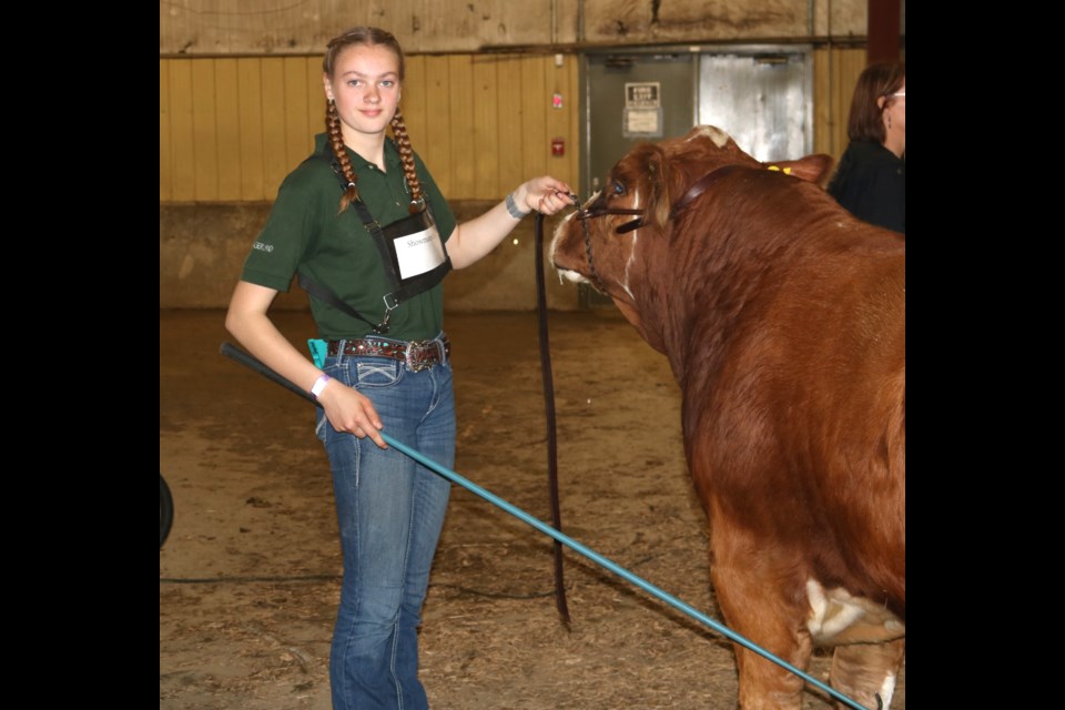 The Regional 4-H Beef Show has long been a Wednesday feature of the annual Yorkton Summer Fair.