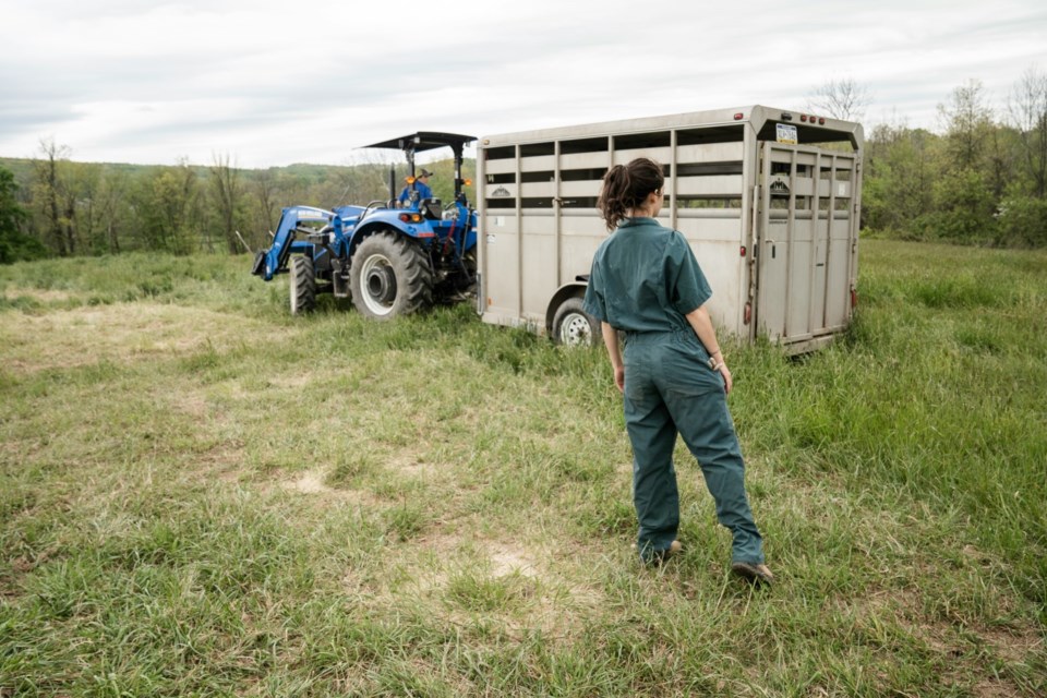 young-farmer