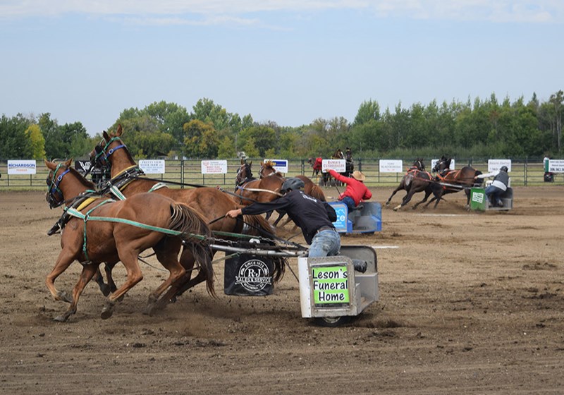 The Leson’s Funeral Home chariot was right in the thick of it at the start of this heat during the chariot races on Aug. 26.