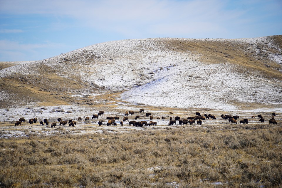 Chris Attrell’s initial adventures led him to discover hidden gems like the Great Sandhills and the wide open spaces of Grasslands National Park.