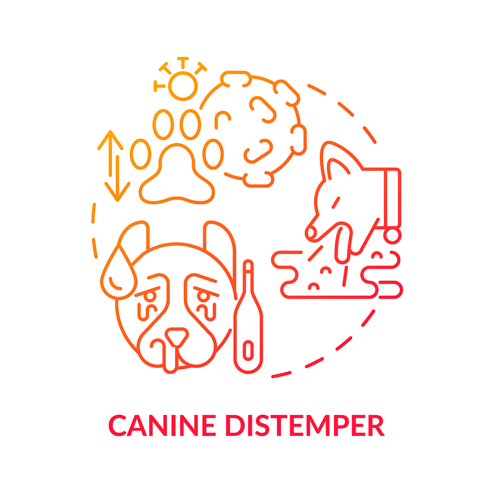 can dogs survive canine distemper