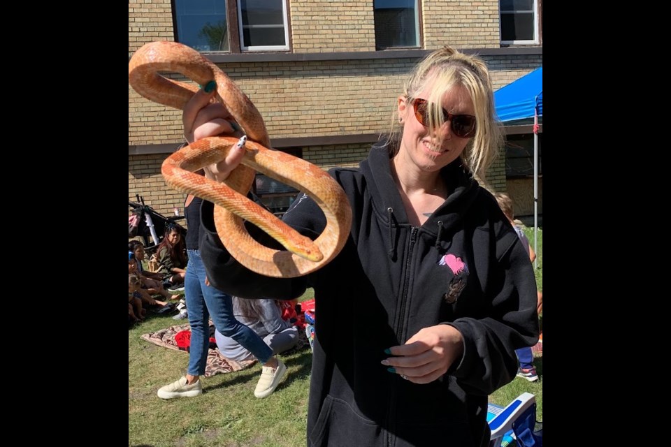 One of the Adventure Wranglers showcased the size of some of the snakes on camera.