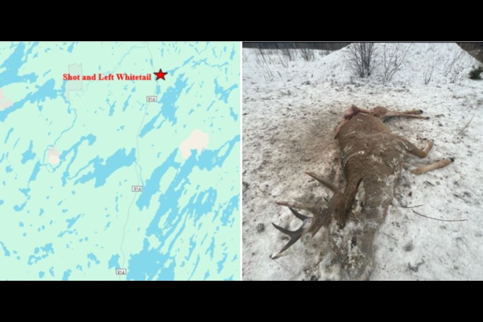 Melfort conservation officers received a TIPP call regarding a young bull moose that was shot and left to waste.