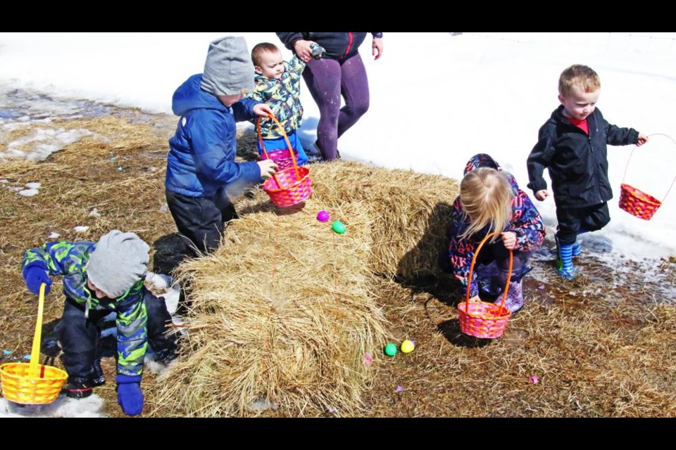 Children gathered up Easter eggs during their visit to Houligan Acres petting zoo and farm on Sunday.