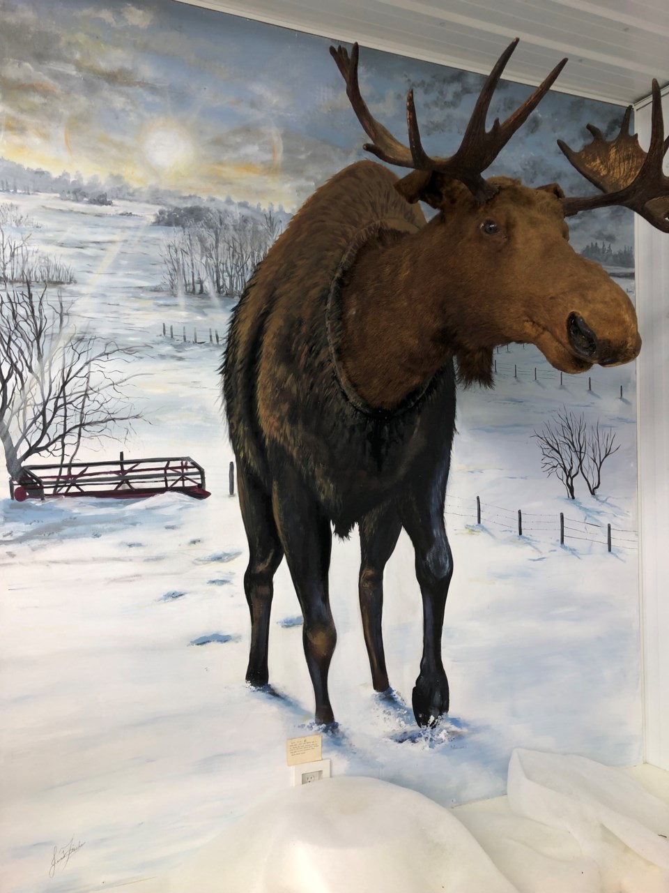 Moose mural at Luseland Fischer