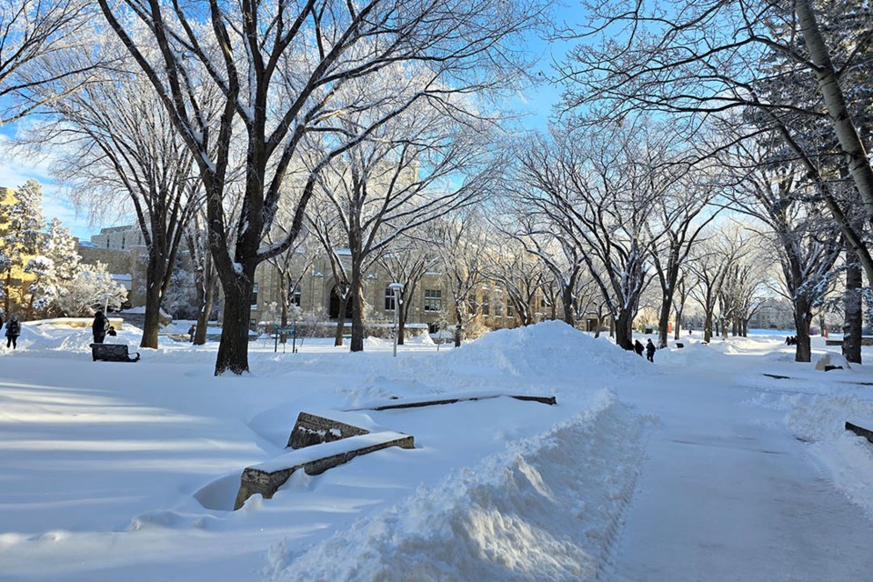 winter-campus-usask-1224