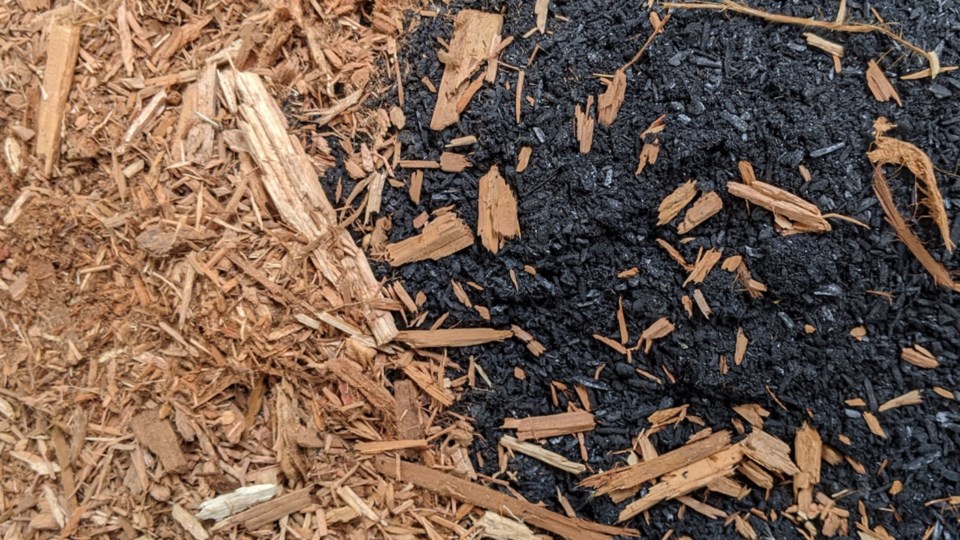 wood-to-biochar