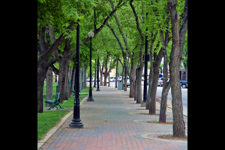 Vertical image of tree-lined Spadina Crescent Promenade in downtown Saskatoon, Saskatchewan.