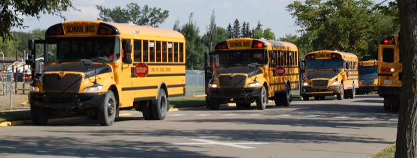 school buses