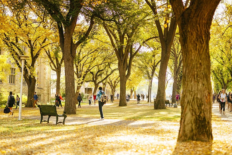 usaskfall