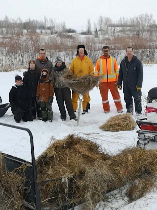 Battlefords Wildlife Goose Project