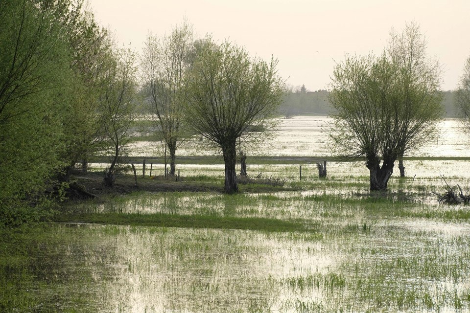 flooded-land-0325