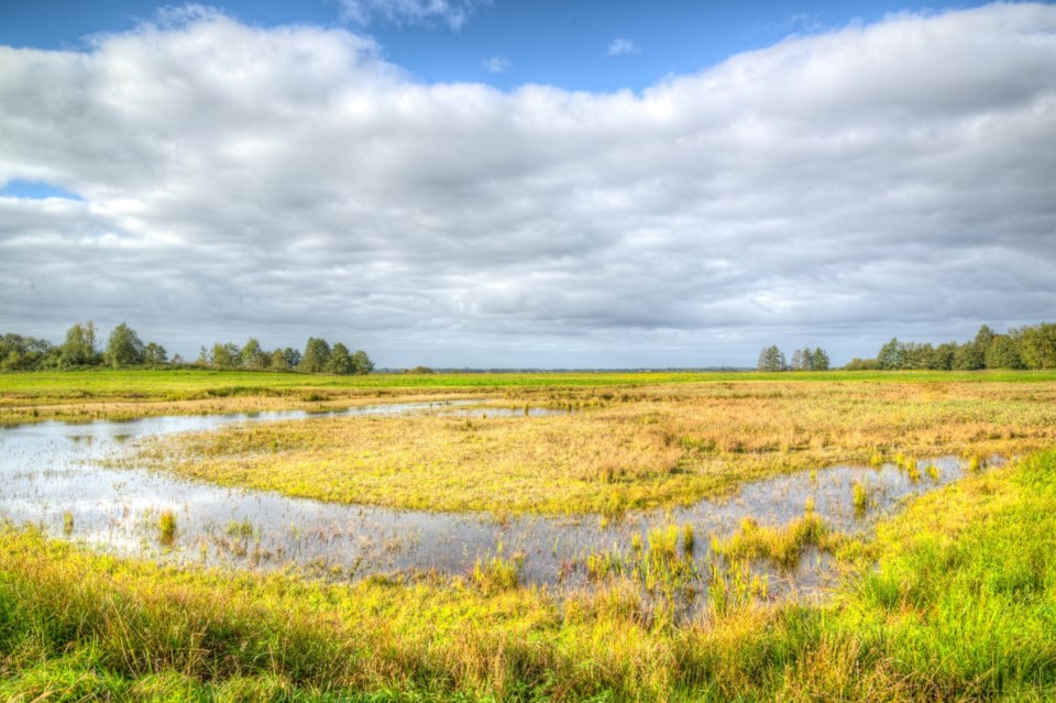 prairie-pothole-region